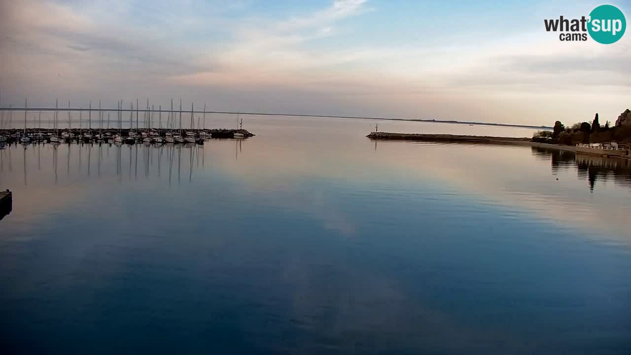 Webcam Sistiana – Marina and Bay Live View