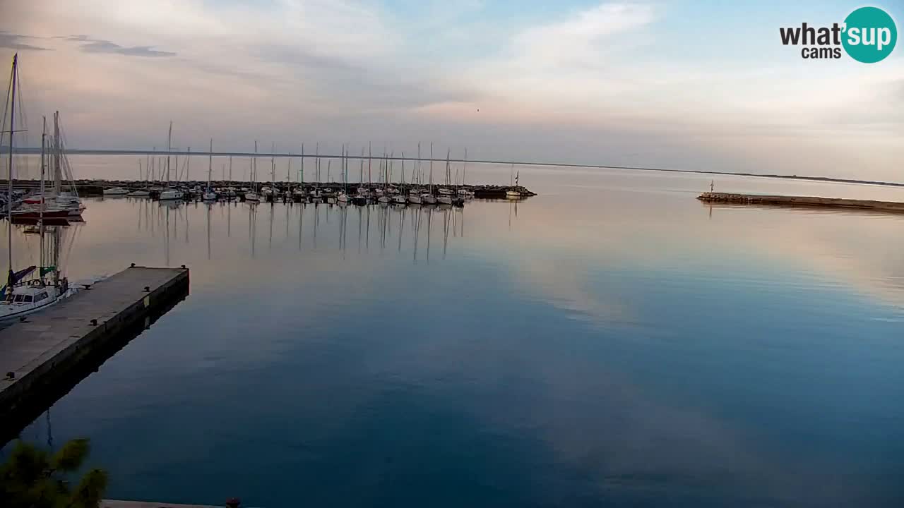 Webcam Sistiana – Marina and Bay Live View