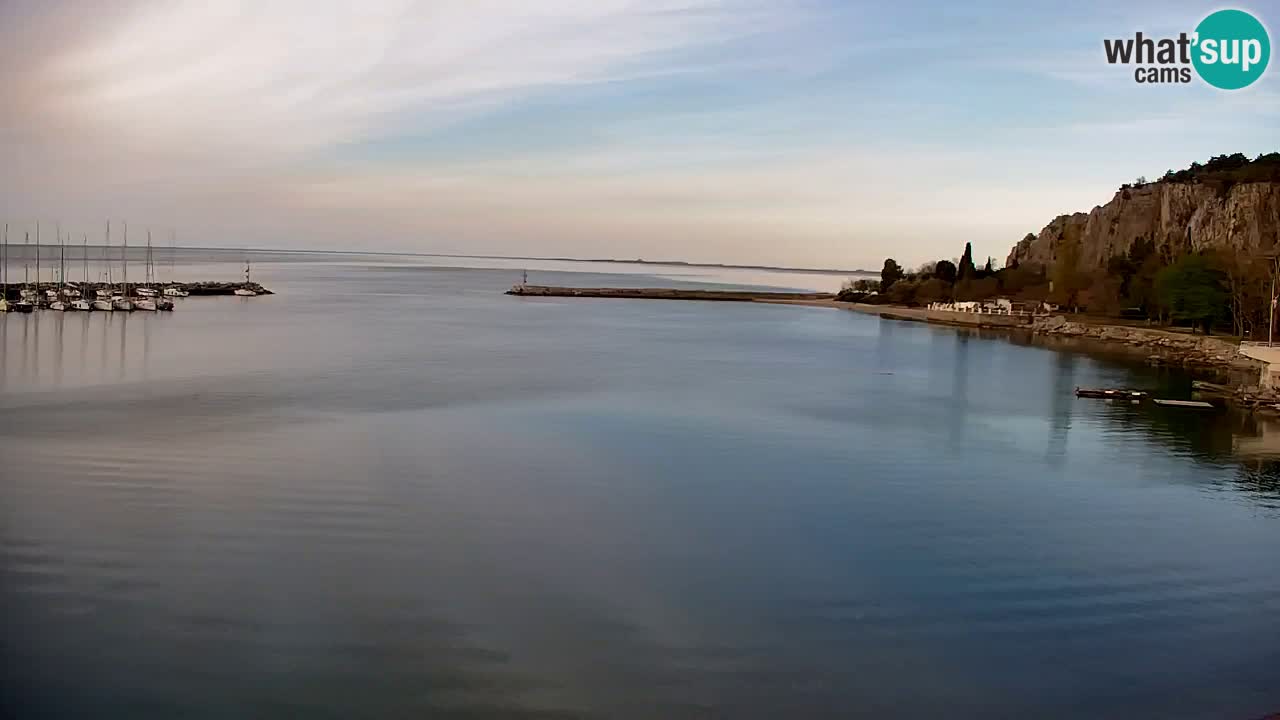 Webcam Sistiana – Marina and Bay Live View