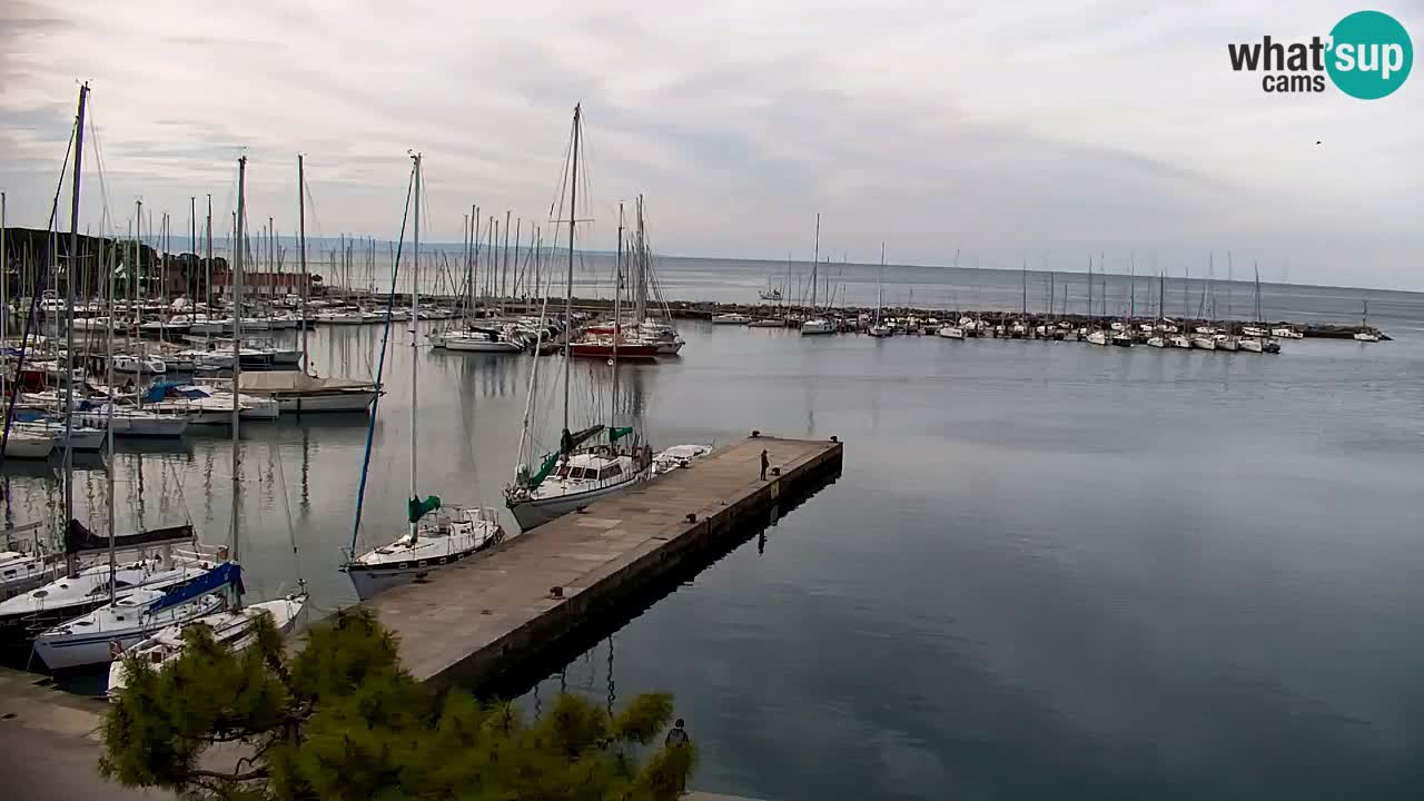 Webcam Sistiana – Marina and Bay Live View