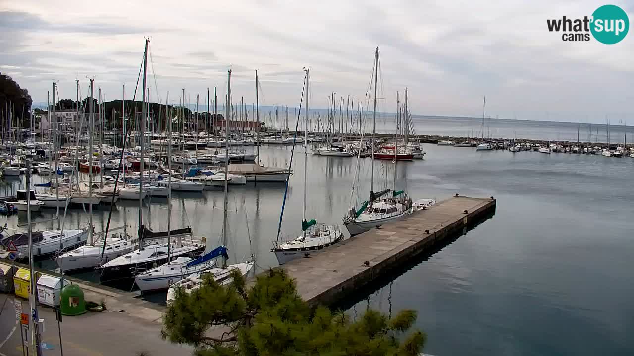 Webcam Sistiana – Blick auf Marina und Bucht