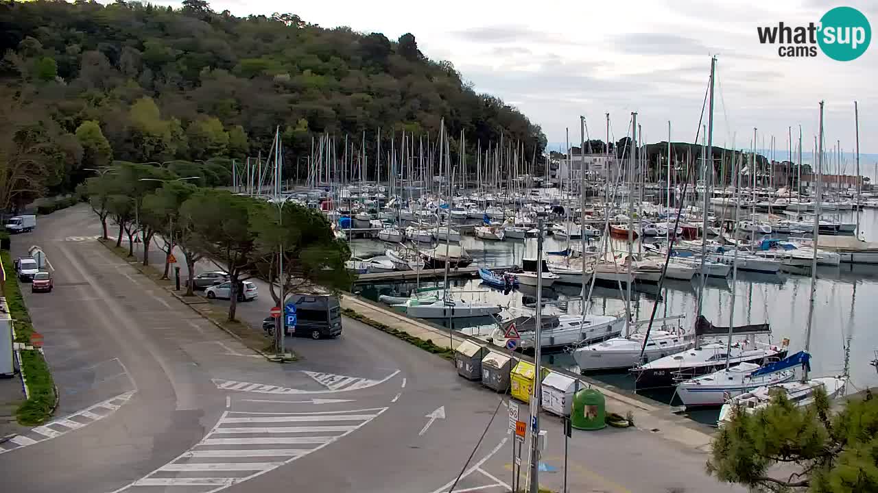 Webcam Sistiana – Pogled na marinu i zaljev