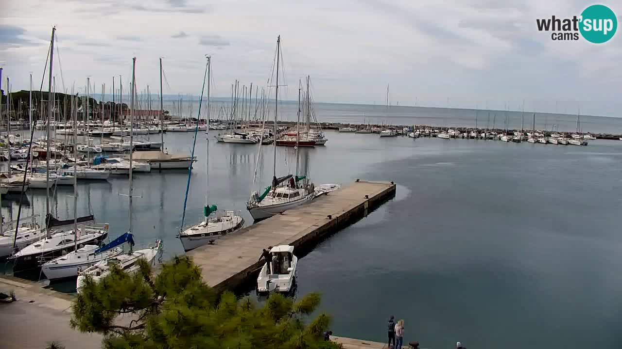 Webcam Sistiana – Vista sulla marina e sulla baia