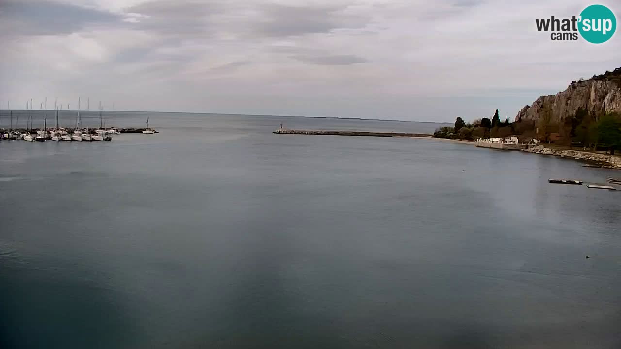 Spletna kamera Sesljan (Sistiana) – Pogled na marino in zaliv