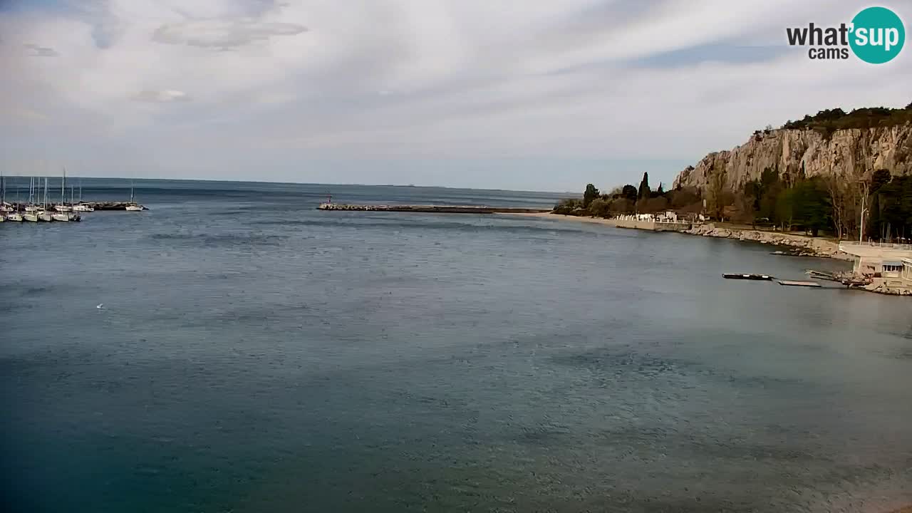 Webcam Sistiana – Marina and Bay Live View