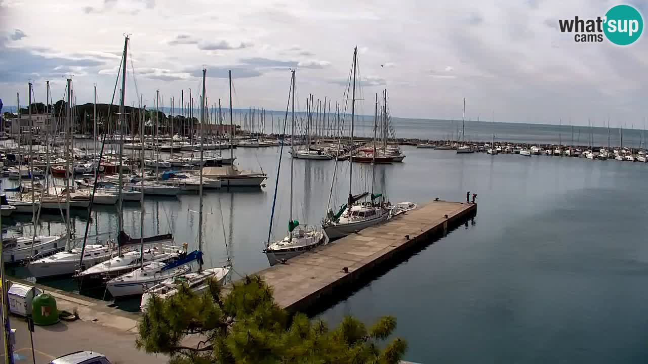 Webcam Sistiana – Marina and Bay Live View