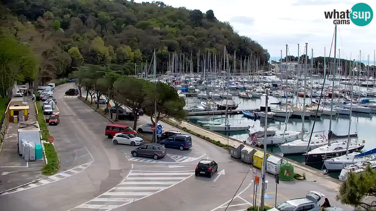 Webcam Sistiana – Pogled na marinu i zaljev