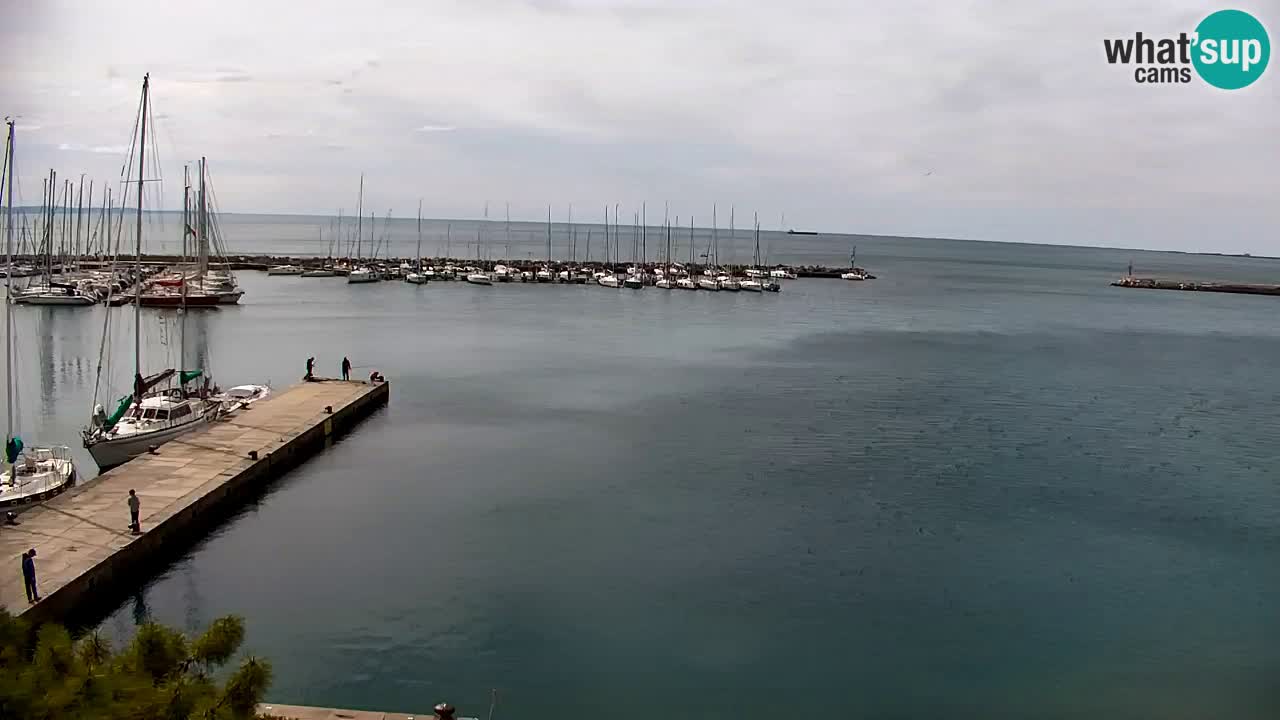 Webcam Sistiana – Marina and Bay Live View