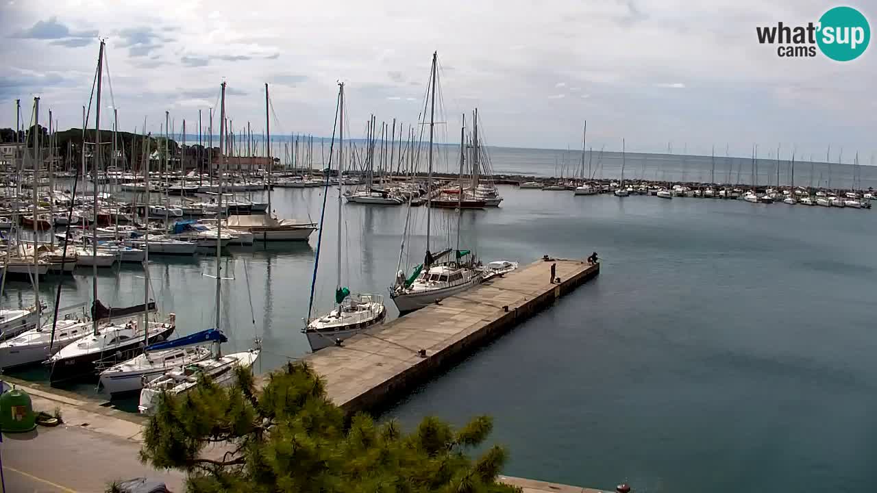 Webcam Sistiana – Vista sulla marina e sulla baia