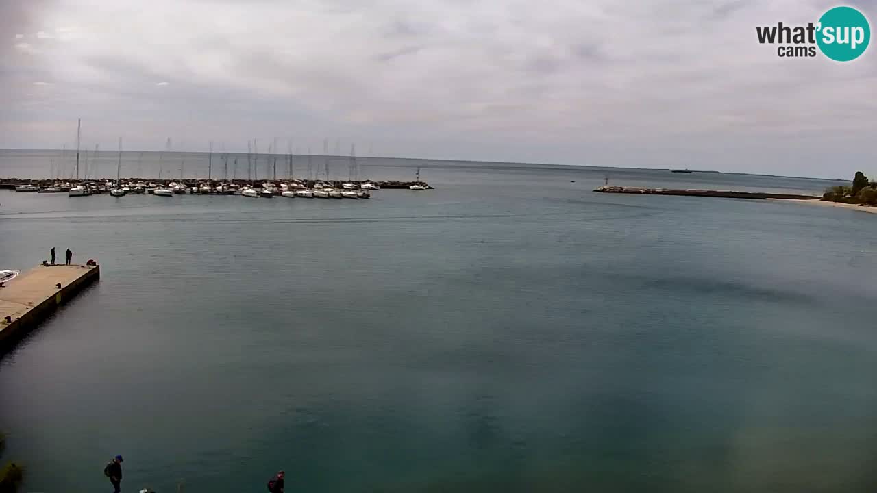 Webcam Sistiana – Blick auf Marina und Bucht