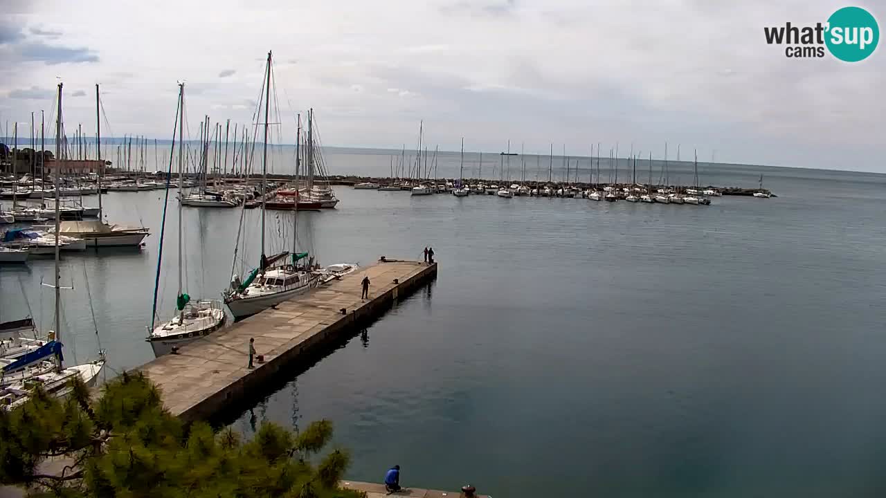 Webcam Sistiana – Vista sobre la marina y la bahía