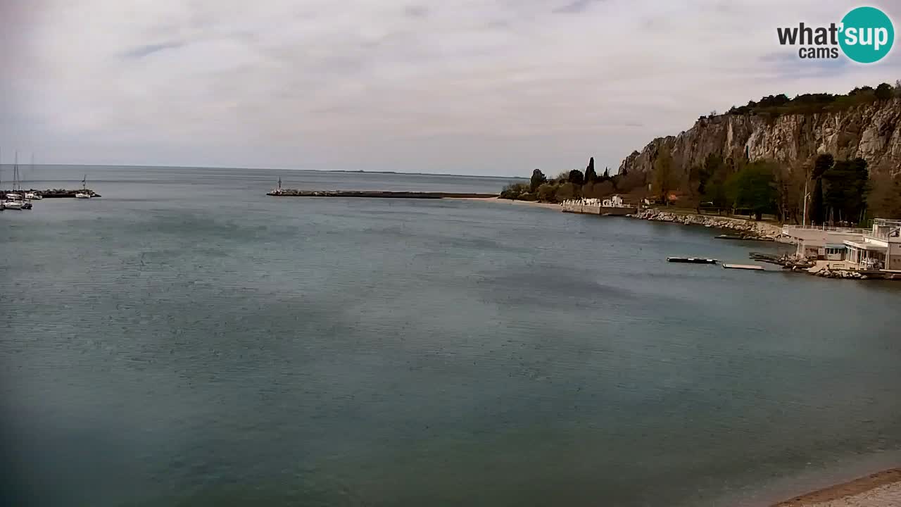 Webcam Sistiana – Marina and Bay Live View