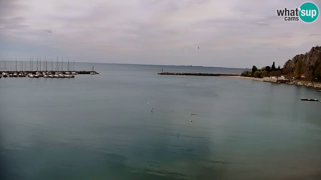 Webcam Sistiana – Vue sur la marina et la baie