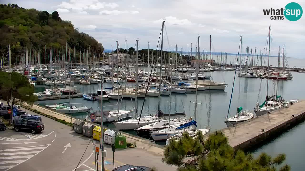 Webcam Sistiana – Pogled na marinu i zaljev