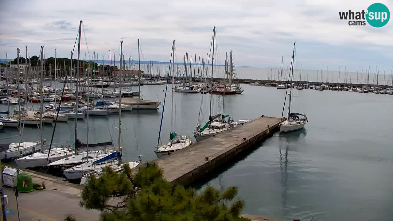 Webcam Sistiana – Marina and Bay Live View