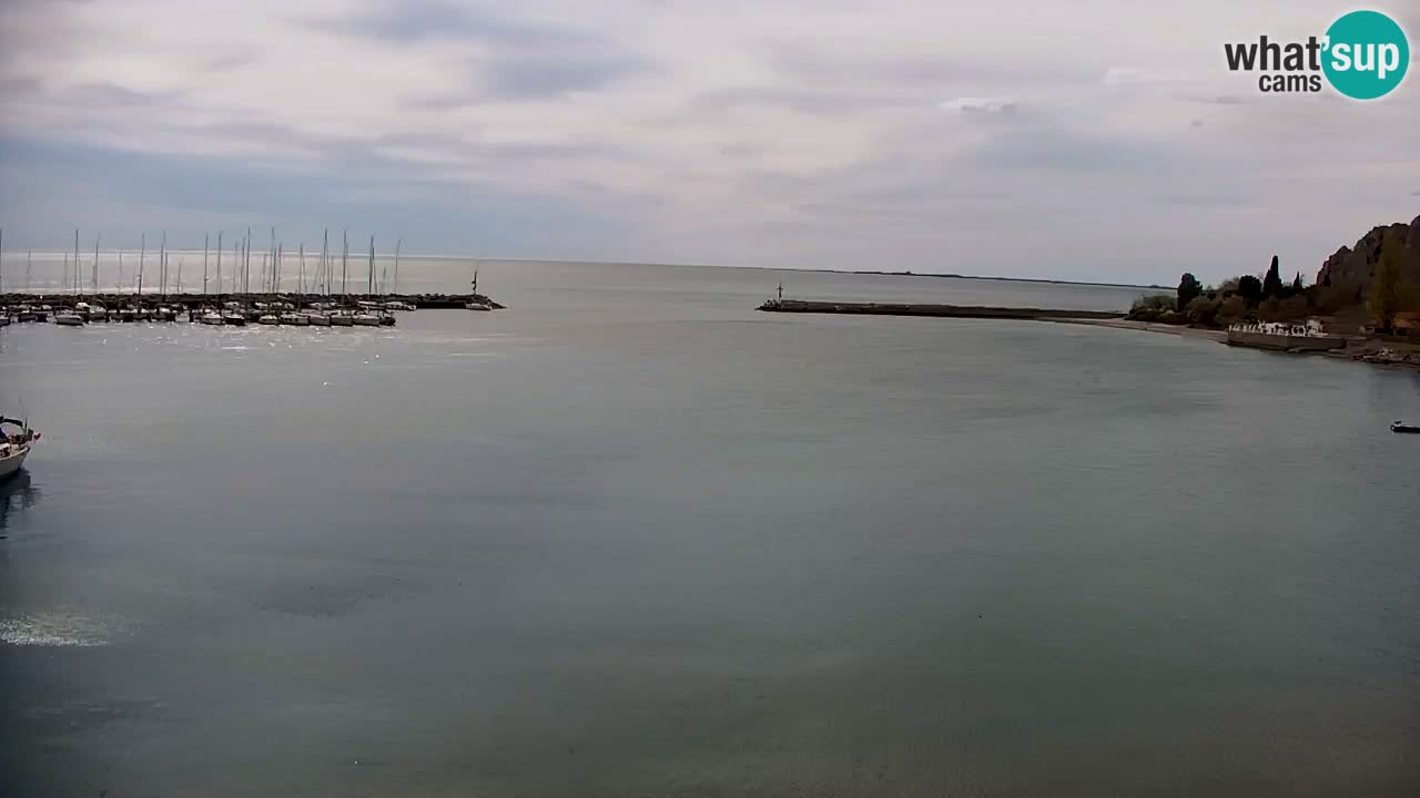 Webcam Sistiana – Pogled na marinu i zaljev