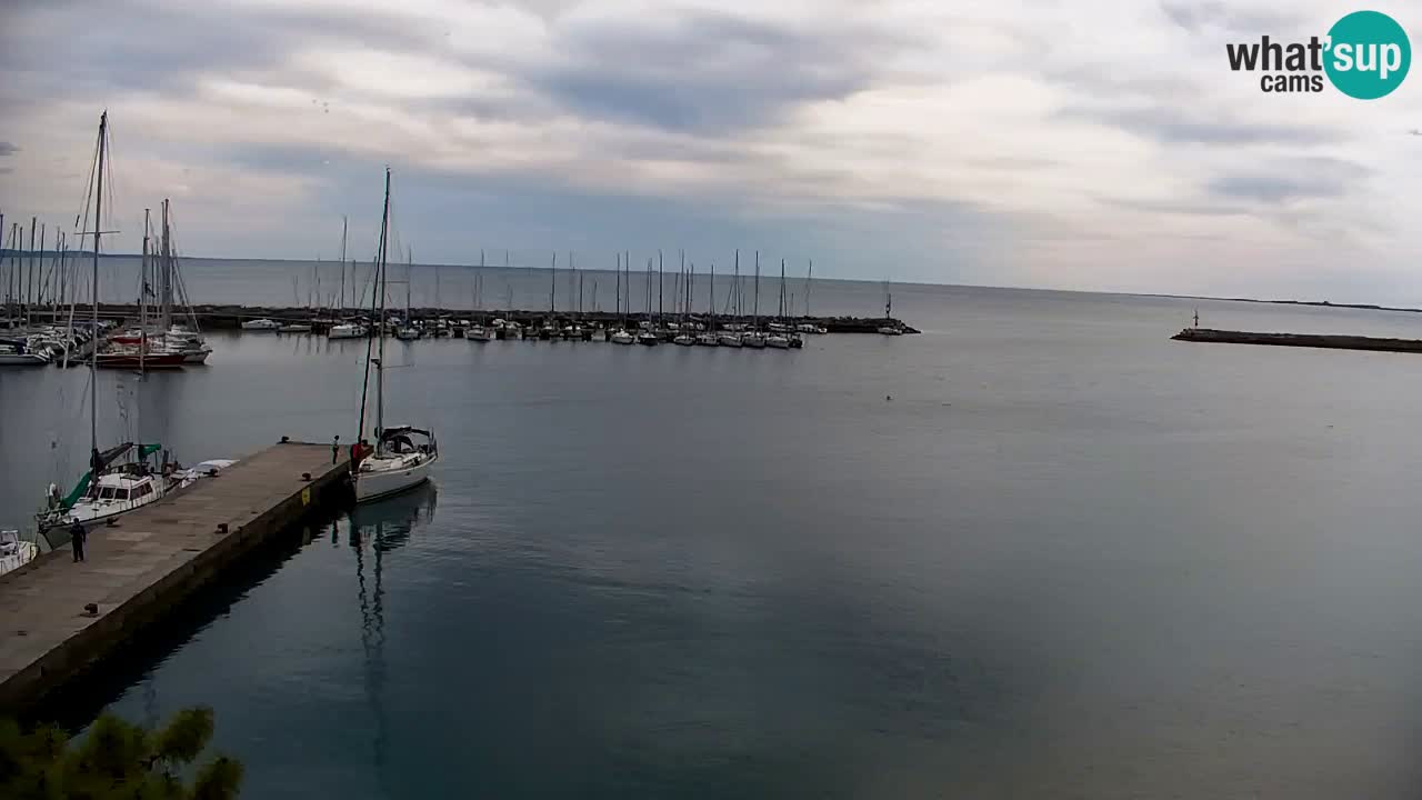 Webcam Sistiana – Pogled na marinu i zaljev