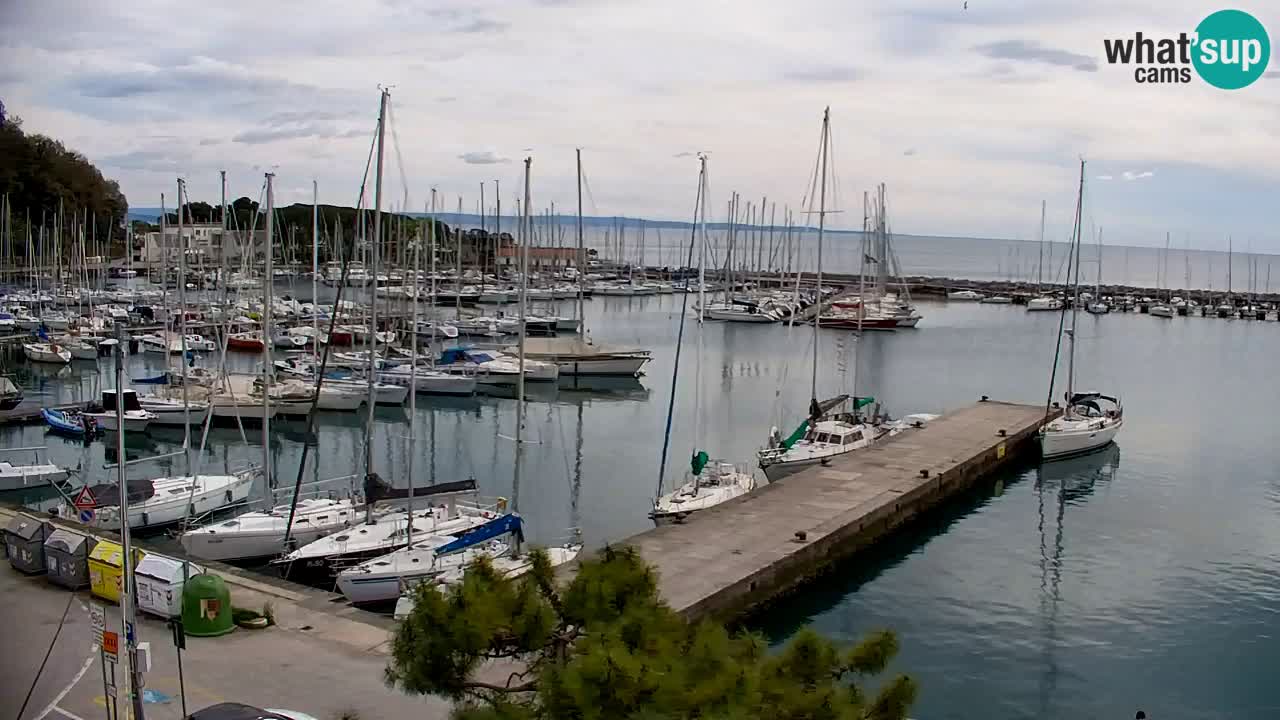 Webcam Sistiana – Marina and Bay Live View