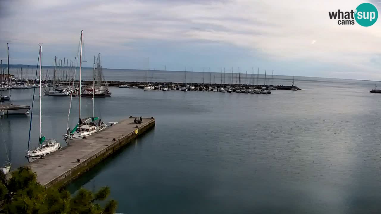 Webcam Sistiana – Blick auf Marina und Bucht