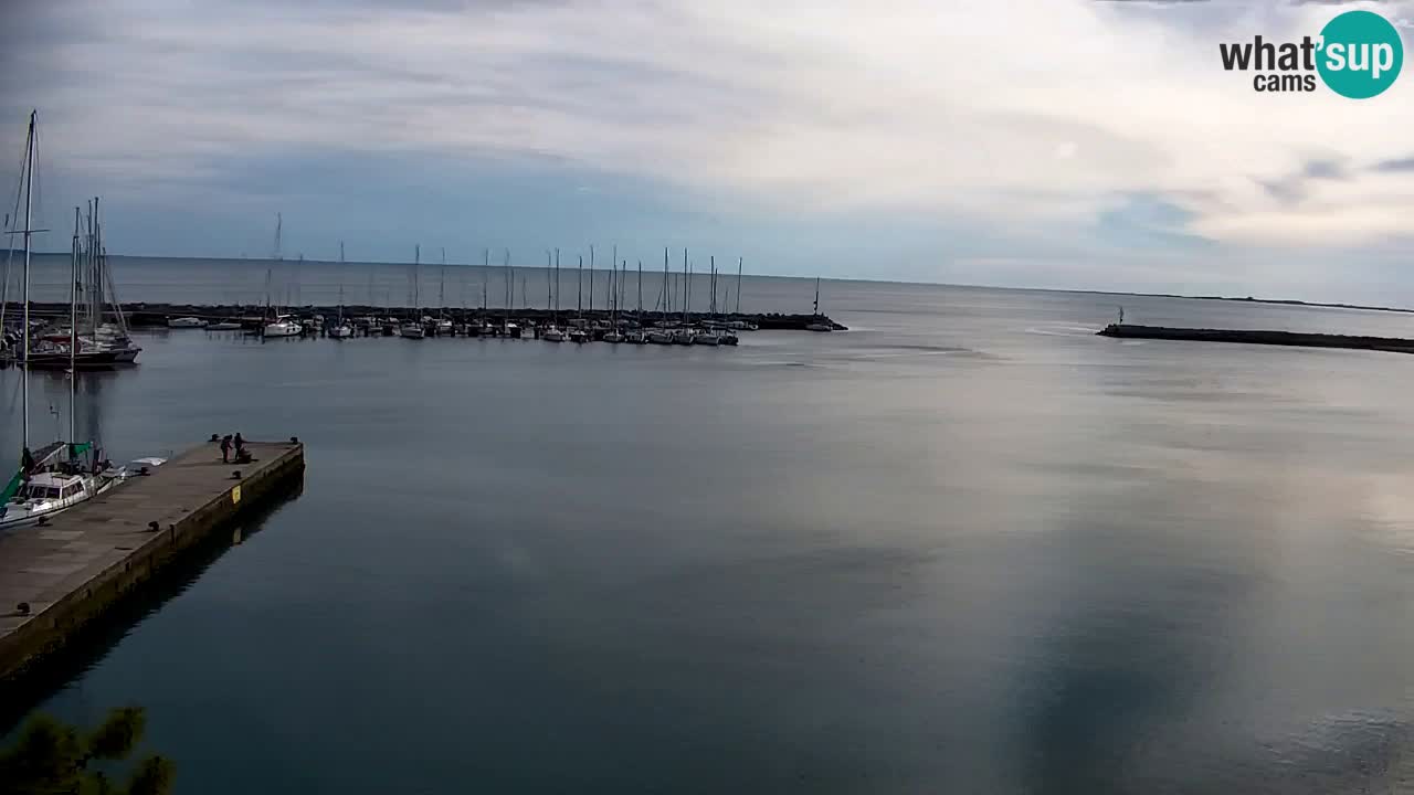 Webcam Sistiana – Marina and Bay Live View