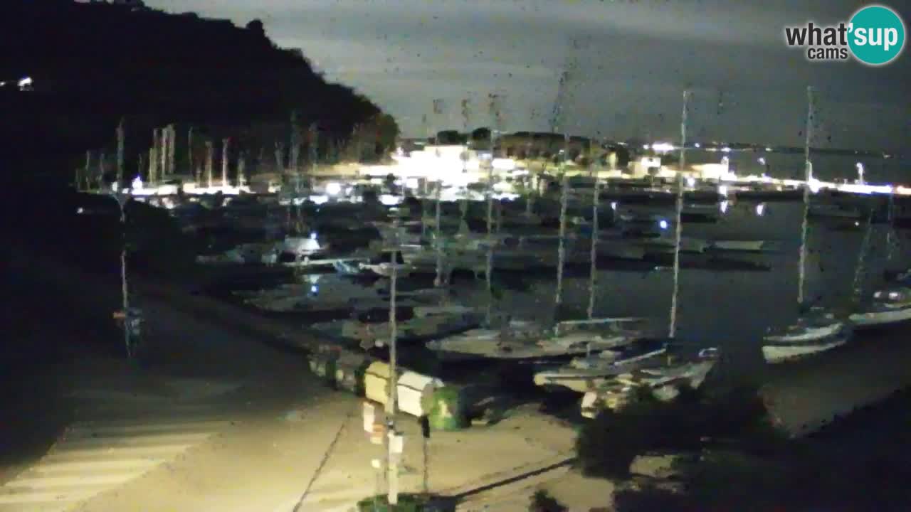 Webcam Sistiana – Pogled na marinu i zaljev