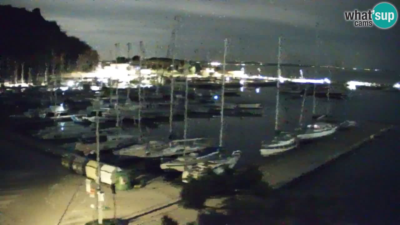 Webcam Sistiana – Marina and Bay Live View