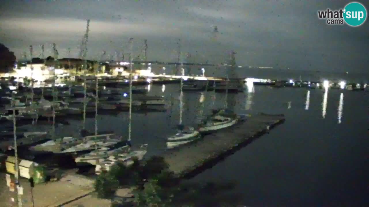 Webcam Sistiana – Marina and Bay Live View
