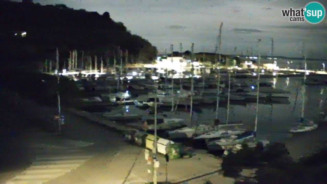Webcam Sistiana – Marina and Bay Live View