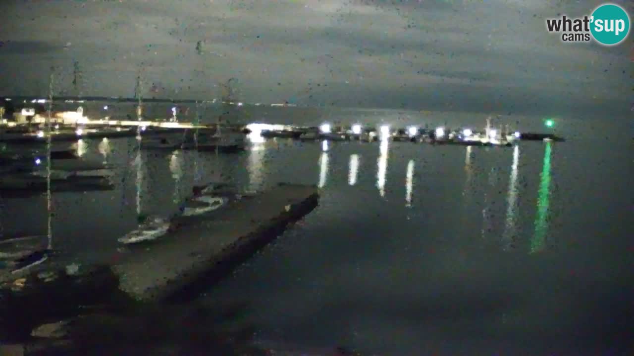Webcam Sistiana – Pogled na marinu i zaljev