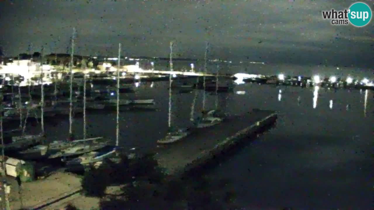 Webcam Sistiana – Marina and Bay Live View