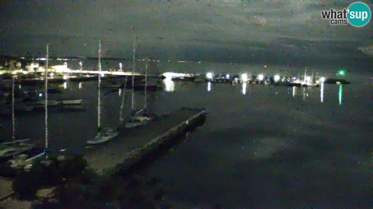 Webcam Sistiana – Marina and Bay Live View