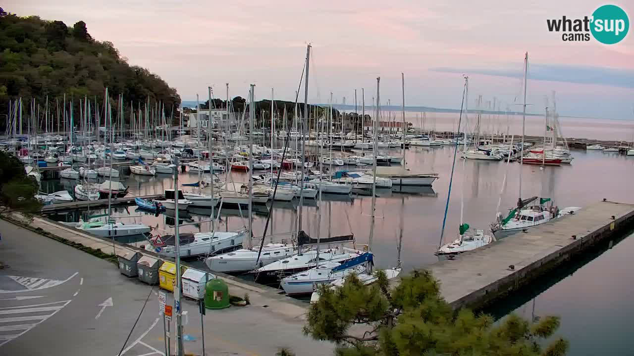 Webcam Sistiana – Marina and Bay Live View