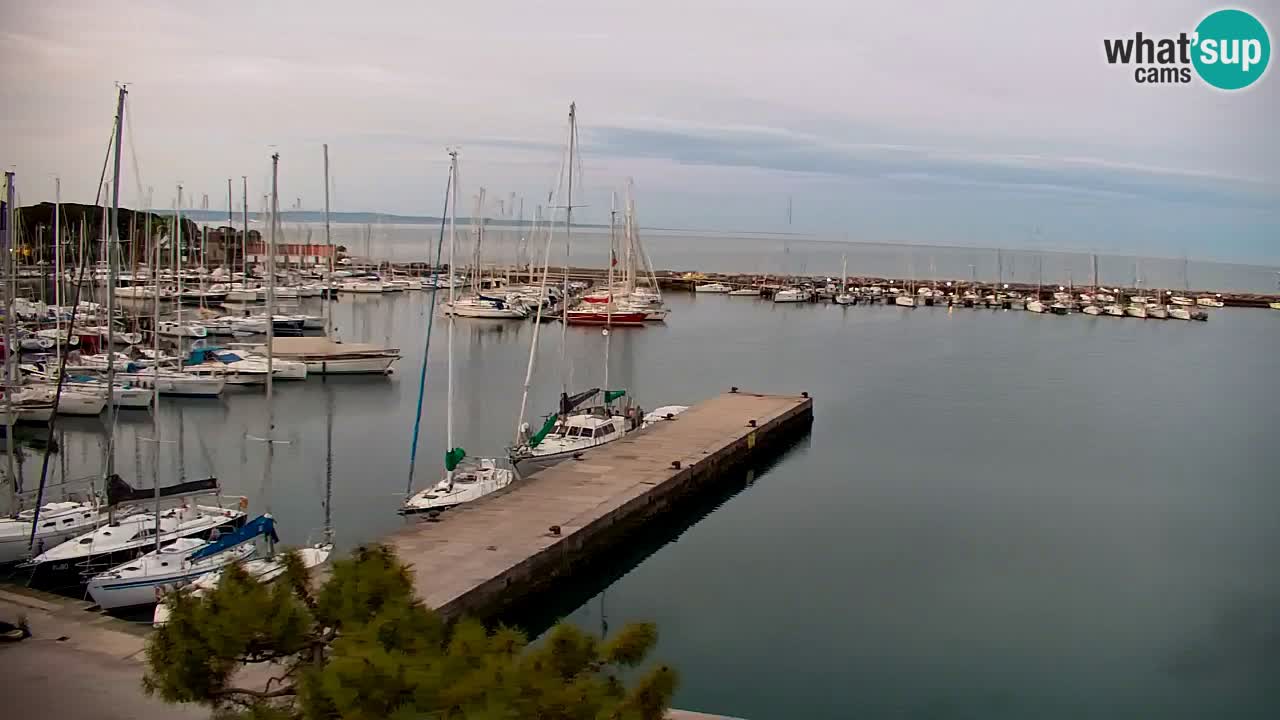 Webcam Sistiana – Marina and Bay Live View