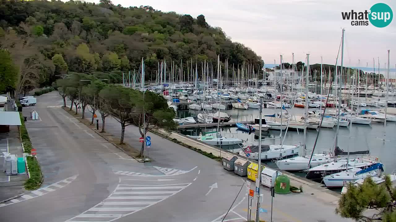 Webcam Sistiana – Marina and Bay Live View