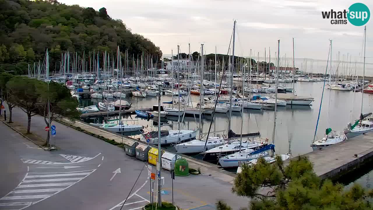 Webcam Sistiana – Marina and Bay Live View