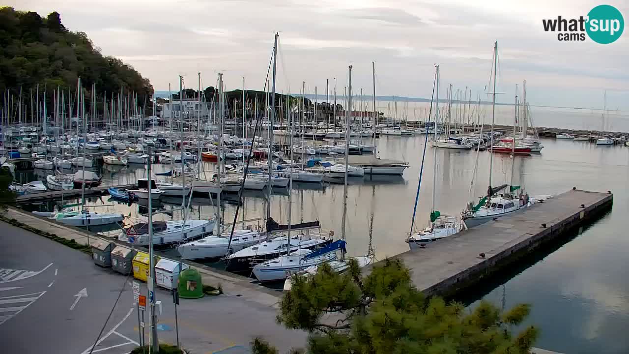 Webcam Sistiana – Pogled na marinu i zaljev