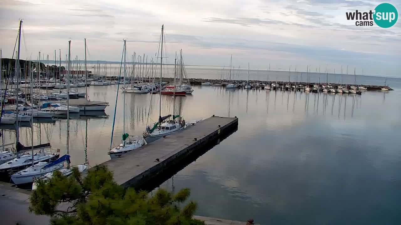 Webcam Sistiana – Vista sobre la marina y la bahía
