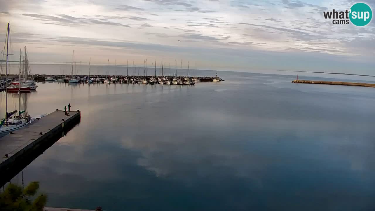 Webcam Sistiana – Marina and Bay Live View