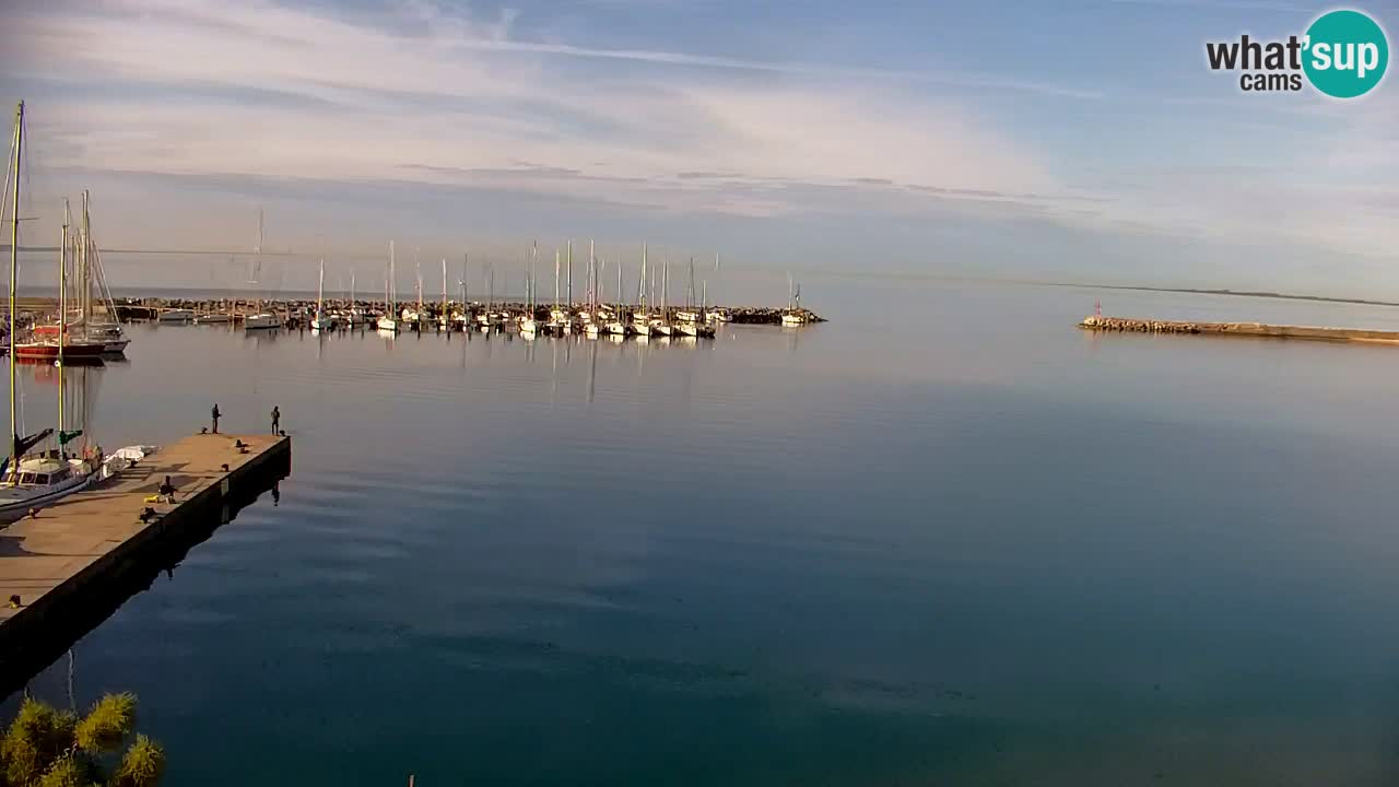 Webcam Sistiana – Marina and Bay Live View