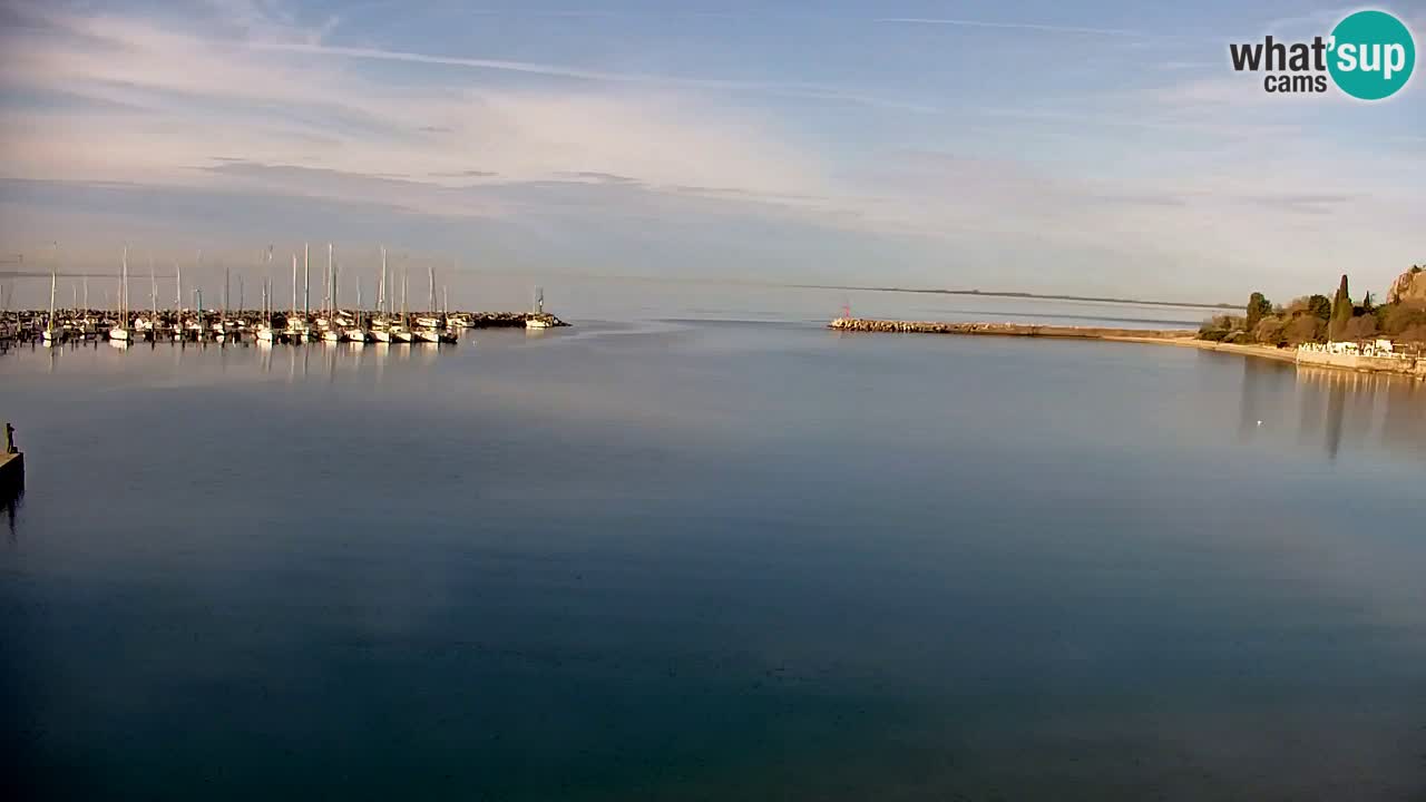 Webcam Sistiana – Marina and Bay Live View