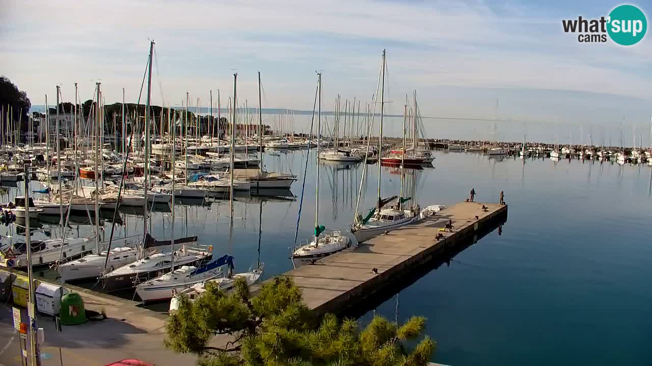 Webcam Sistiana – Blick auf Marina und Bucht