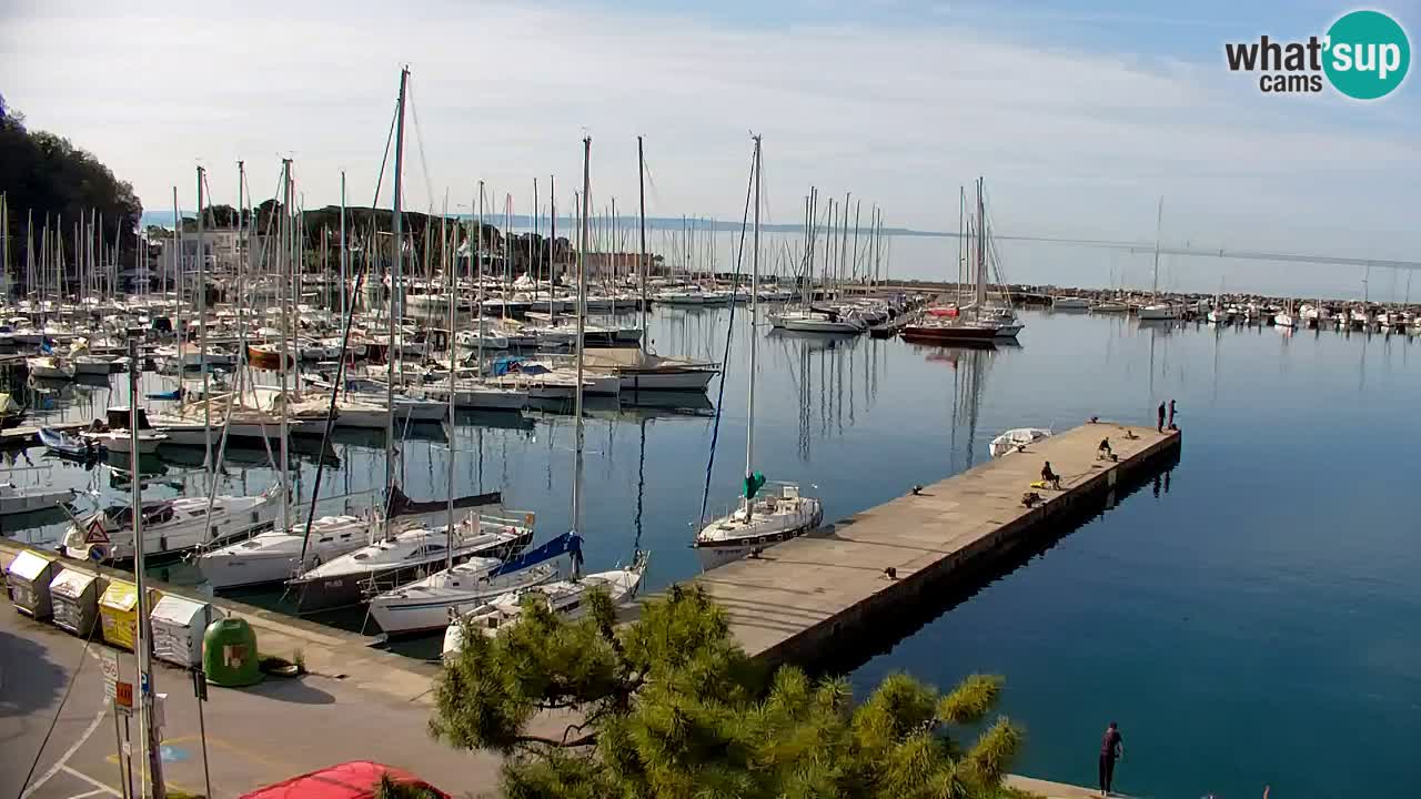Webcam Sistiana – Marina and Bay Live View
