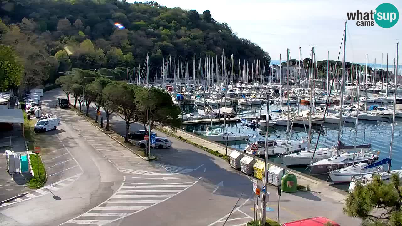 Webcam Sistiana – Marina and Bay Live View