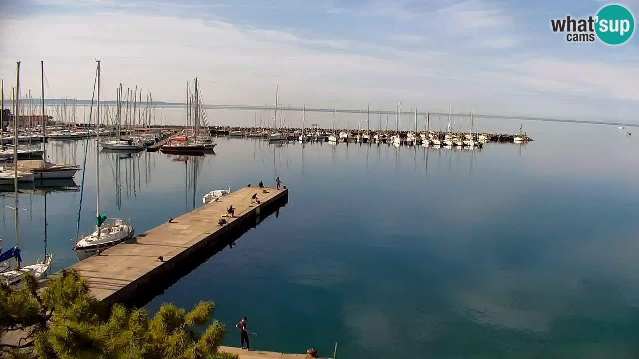 Webcam Sistiana – Vista sobre la marina y la bahía