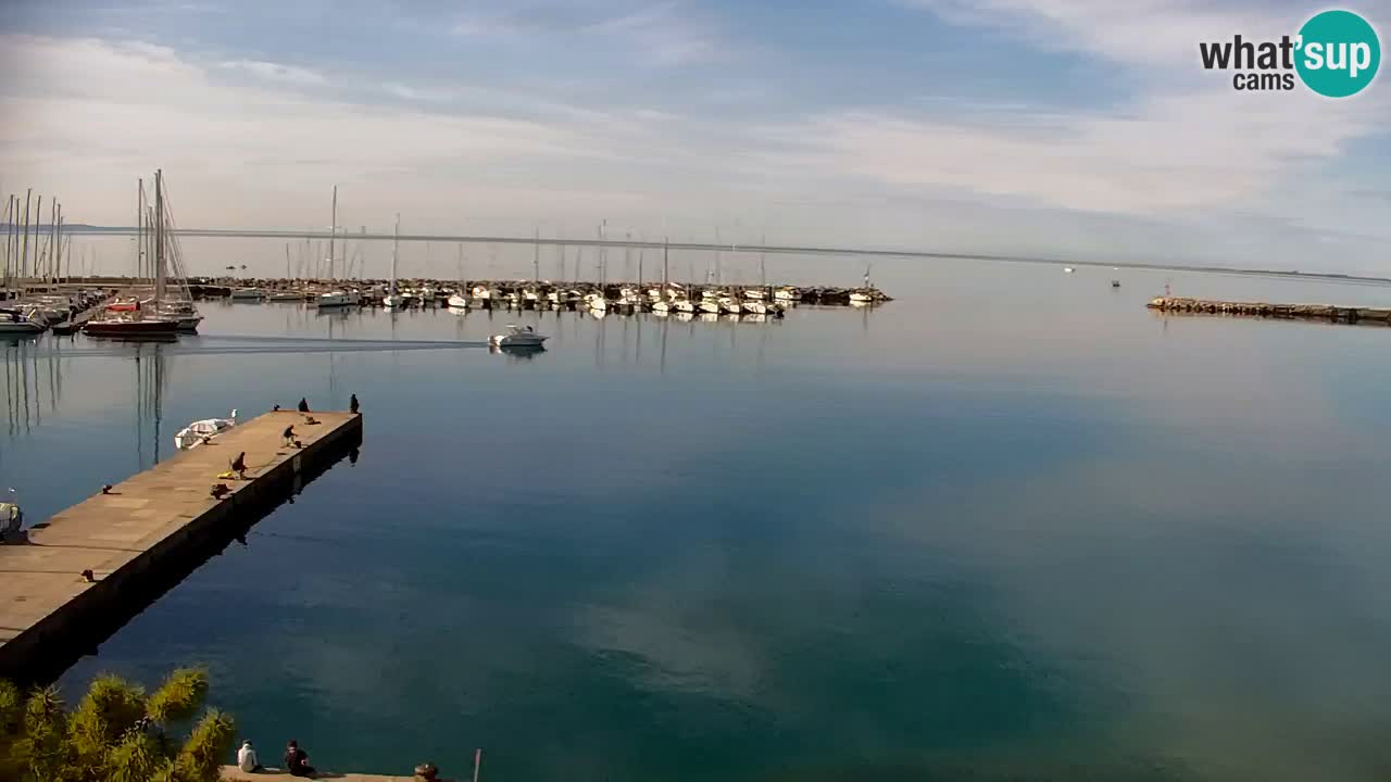 Webcam Sistiana – Marina and Bay Live View