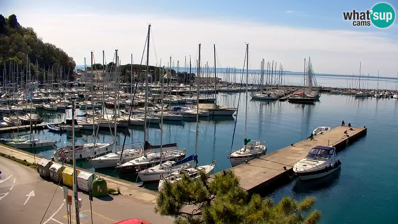 Webcam Sistiana – Blick auf Marina und Bucht