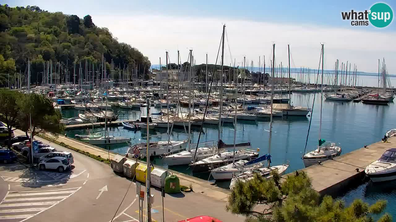 Webcam Sistiana – Marina and Bay Live View