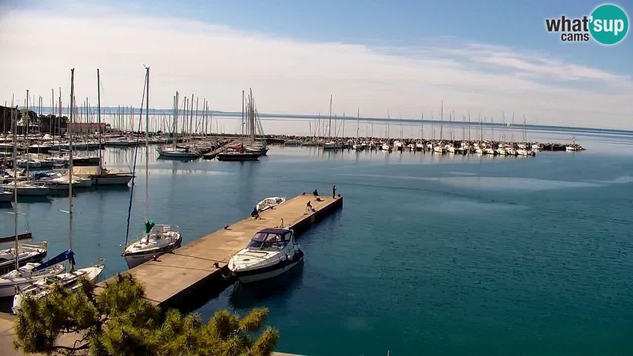Webcam Sistiana – Blick auf Marina und Bucht