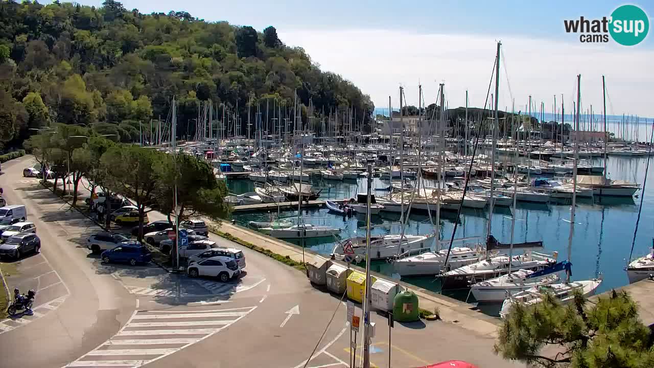 Webcam Sistiana – Marina and Bay Live View