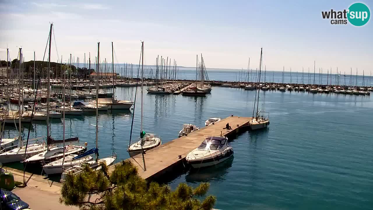 Webcam Sistiana – Marina and Bay Live View